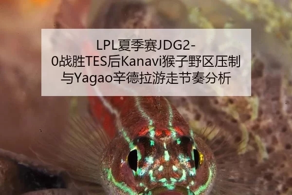 LPL夏季赛JDG2-0战胜TES后Kanavi猴子野区压制与Yagao辛德拉游走节奏分析
